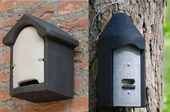 Buyers’ Guide: Bat Boxes