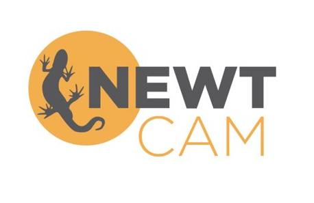 Camphibian NEWTCAM Project, in partnership with LIST (updated)