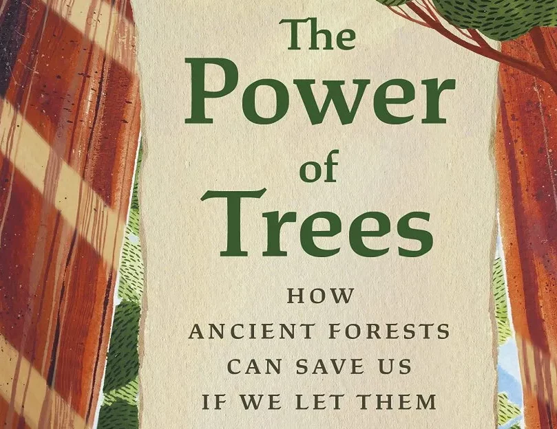 Author Interview with Peter Wohlleben: The Power of Trees