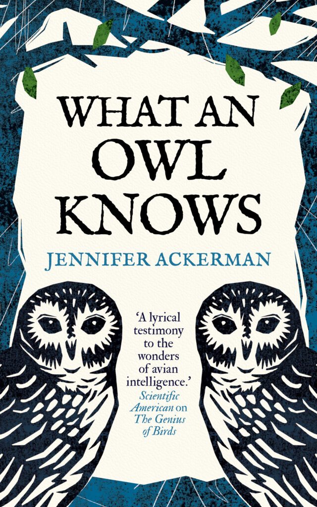 Book review: What an Owl Knows