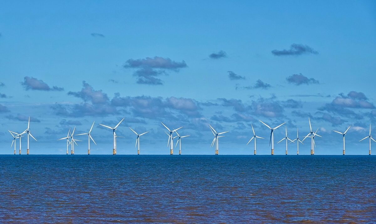 Offshore wind farms: Climate Change vs Biodiversity