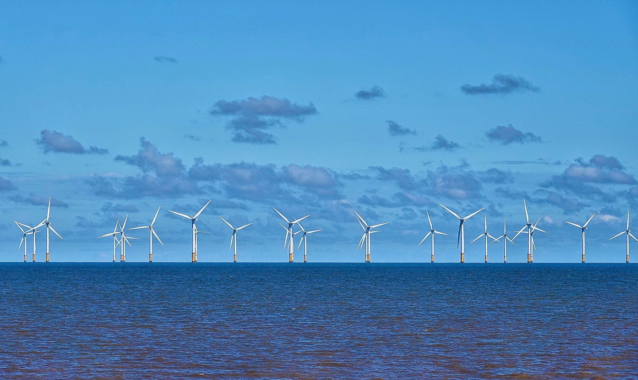 Offshore wind farms: Climate Change vs Biodiversity