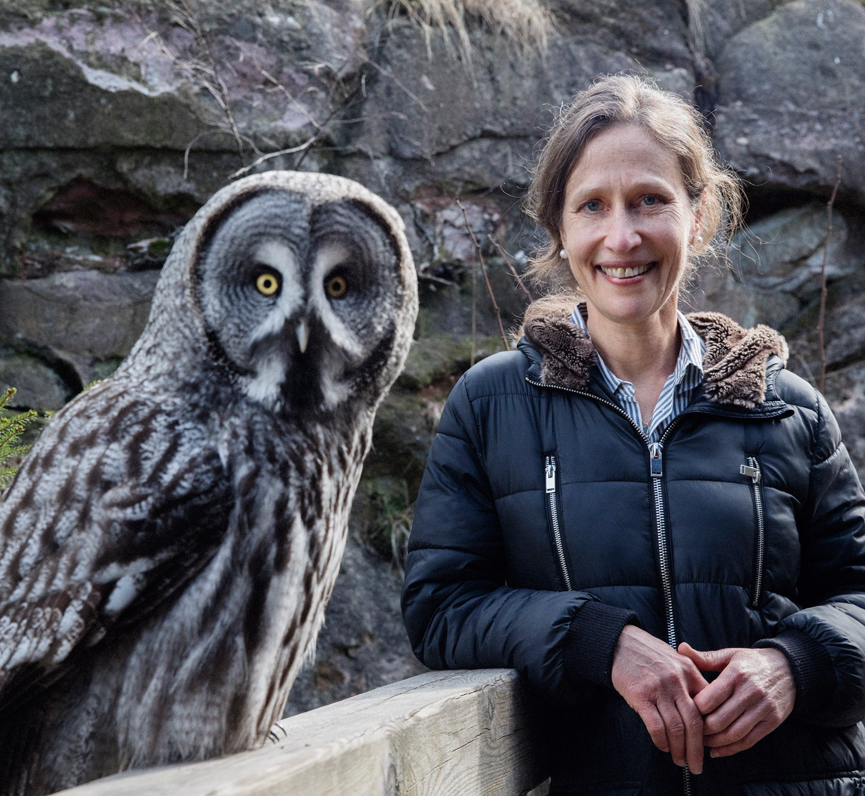 Author interview with Jennifer Ackerman: What an Owl Knows
