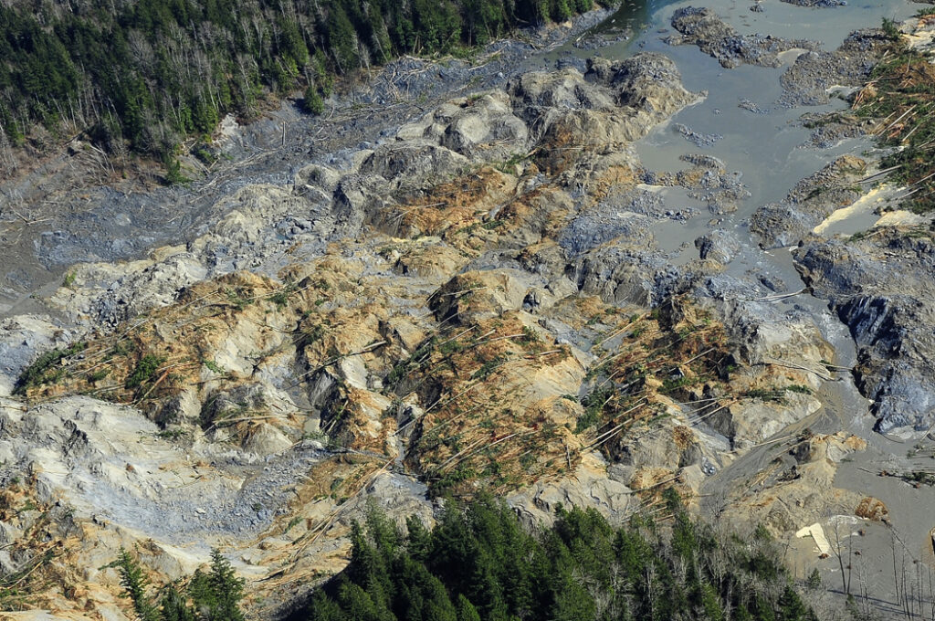 Broken trees with muddy landscape after a mudsline