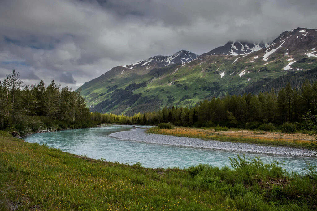 River with trees and mountains in the background