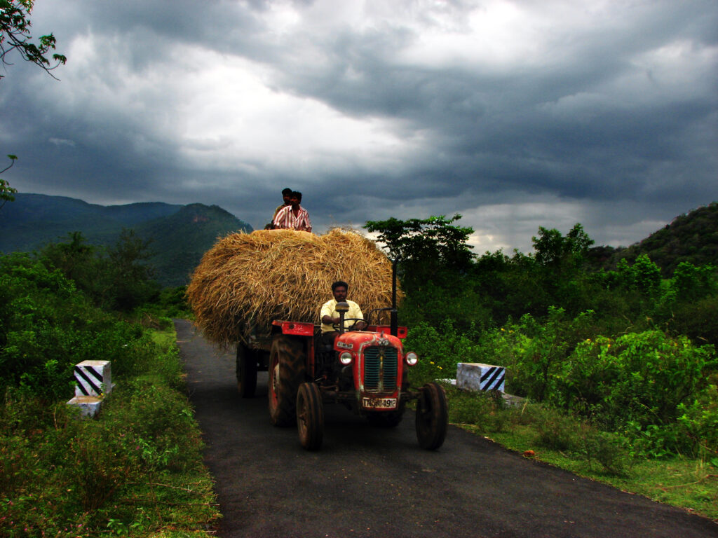 Tractor and farmers with a big pile of hay on a road with green vegetation around it