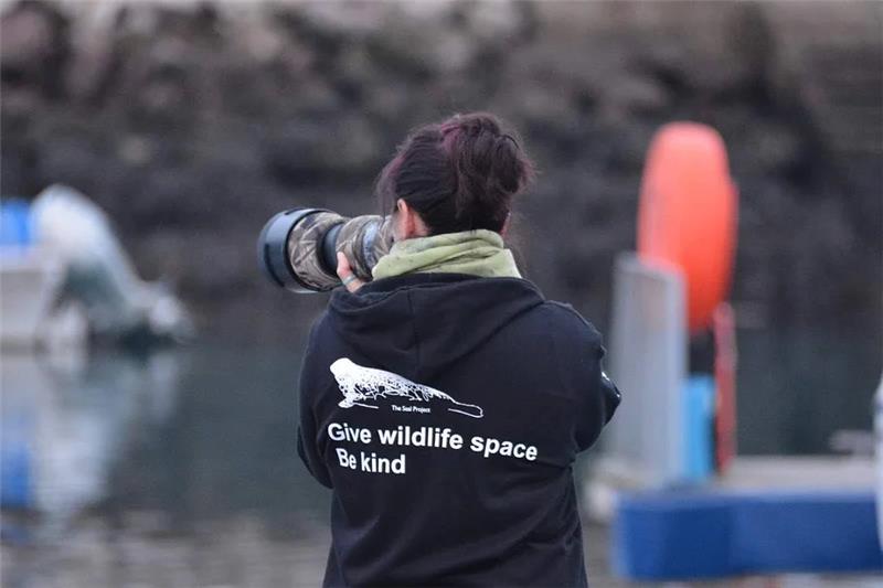The Seal Project founder Sarah Greenslade taking a photograph on a harbour pontoon in Devon with a long lens camera facing away from the camera.