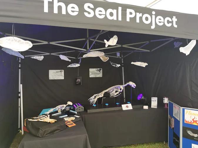The Seal Project exhibition stand gazebo showing a plastic skeleton of a seal, seal pup and a seal fin with images of seals hung from the roof and a blue information board.