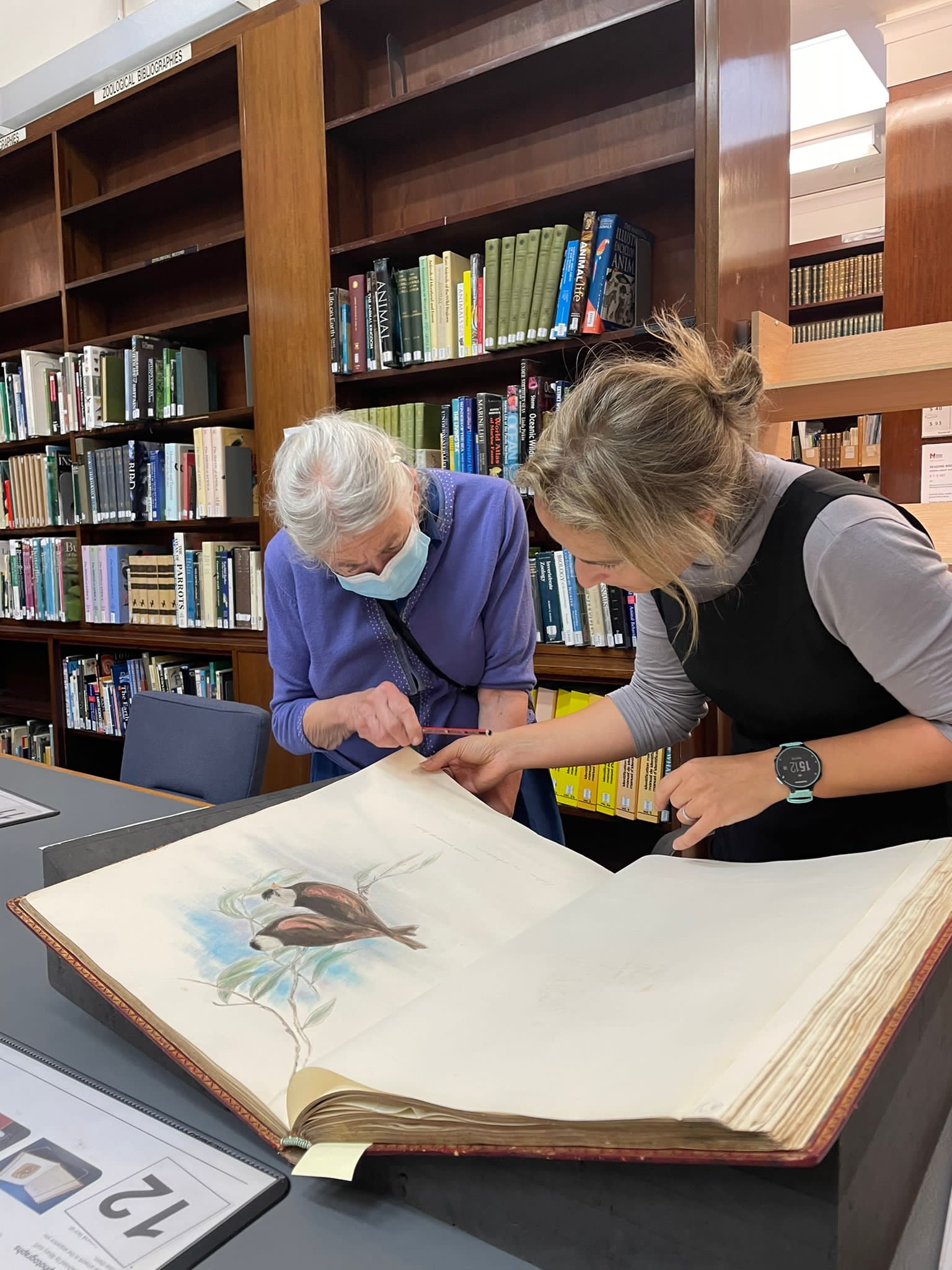 Andrea Hart and Ann Datta looking at an A1 sized bound book of Elizabeth Gould's original drawings in a library.