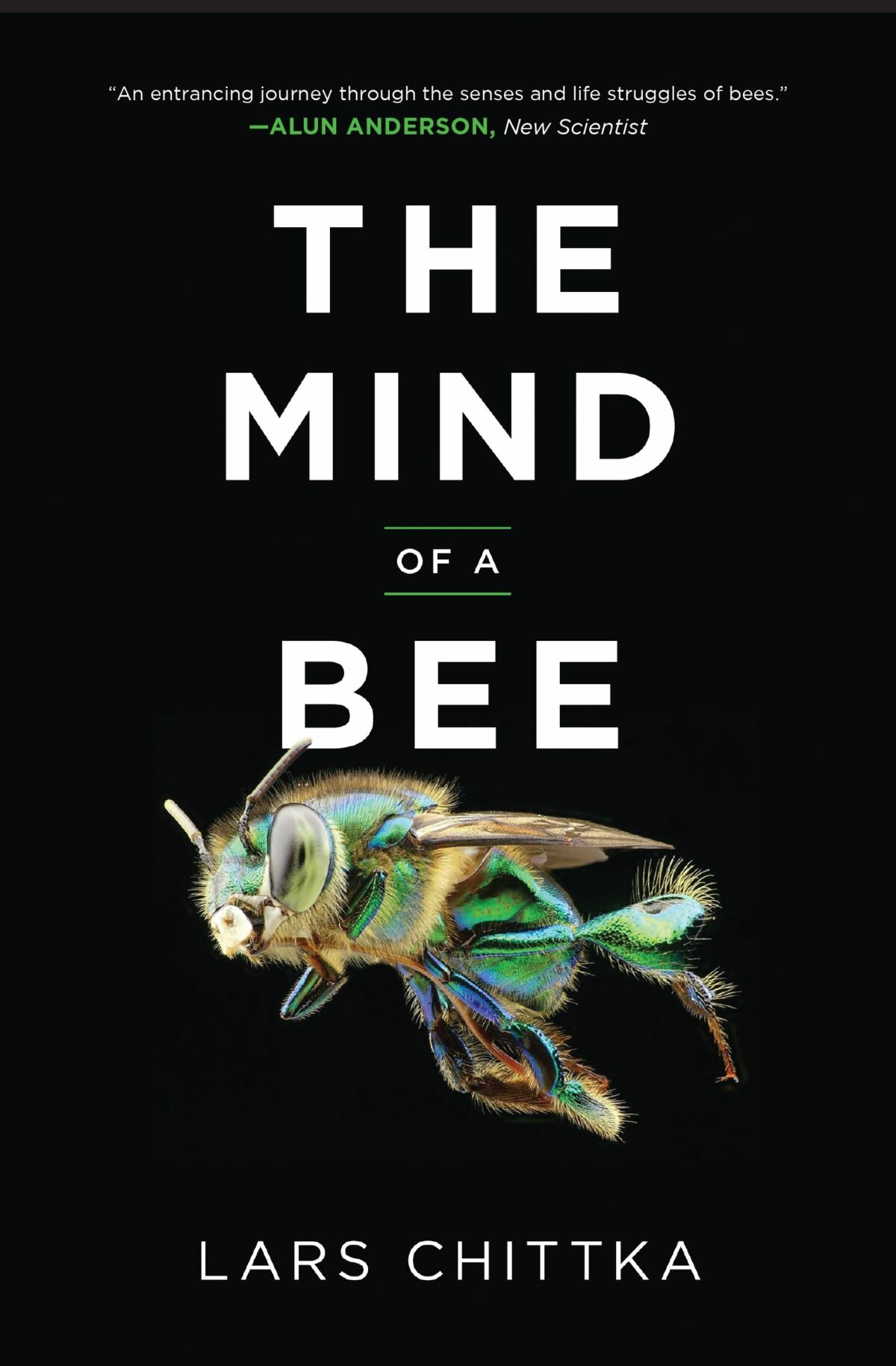 Book review: The Mind of a Bee