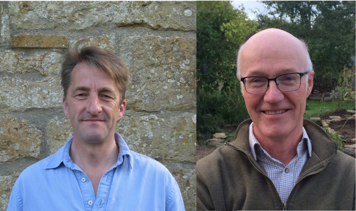 Author interview with Phil Sterling and Mark Parsons: Field Guide to the Micro-moths of Great Britain and Ireland
