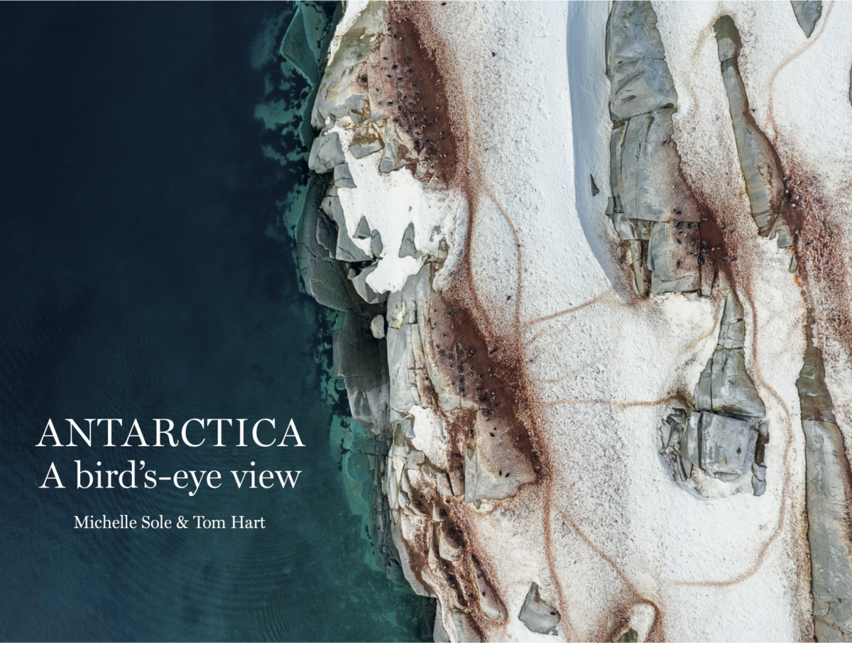 Author Q&A with Michelle Sole: Antarctica: A Bird’s-eye View