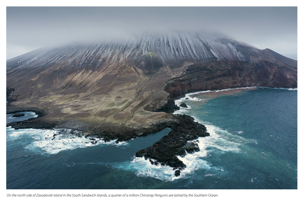 On the north side of Zavodovski Island in the South Sandwich Islands, a quarter of a million Chinstrap Penguins are lashed by the Southern Ocean at the base of a snowy mountain with the top covered by fog and big waves at the foot of the slopes.