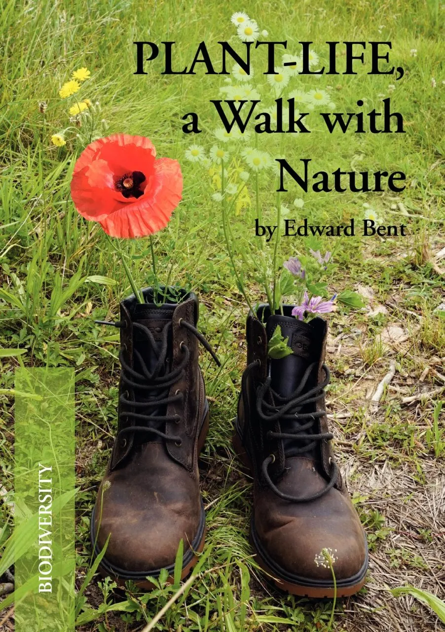 Author interview with Edward Bent: Plant-Life: A Walk with Nature