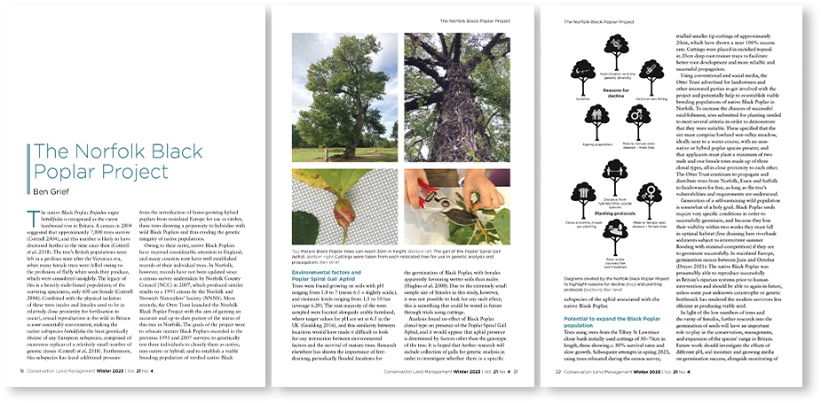 Conservation Land Management 3 page article spread focusing on The Norfolk Black Poplar Project.