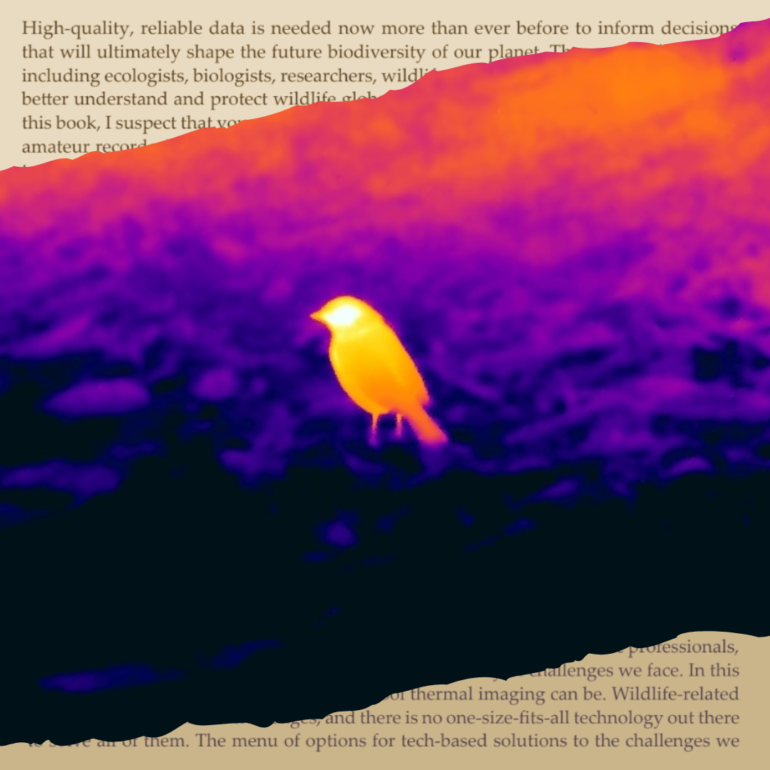 Author Q&A with Kayleigh Fawcett Williams Thermal Imaging for Wildlife