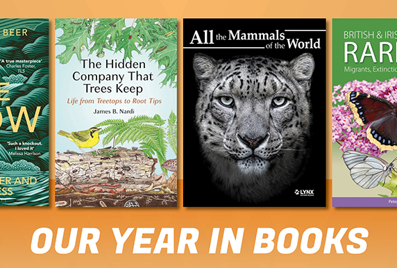 Our year in books