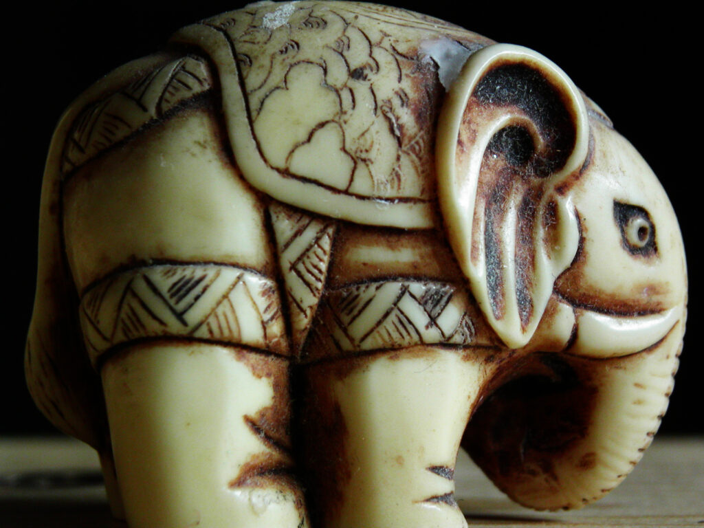 Elephant Ivory carved in the shape of an elephant