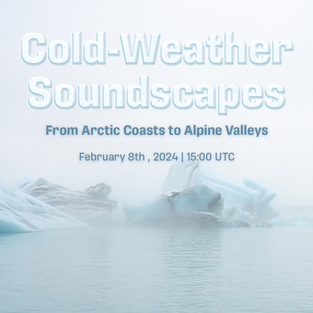 Free Webinar: Cold Weather Soundscapes; from Arctic Coasts to Alpine Valleys