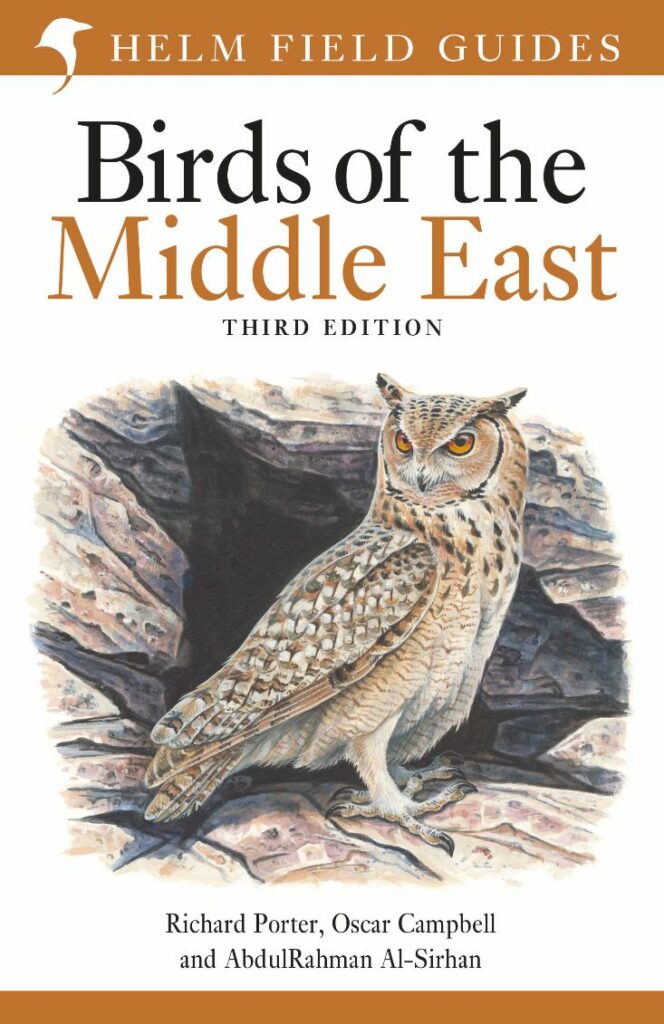 Mike Langman's most recent project, the illustration for the cover of Helm's Birds of the Middle East, featuring a watercolour painting of a Eurasian Eagle-Owl stood in a rocky crag.