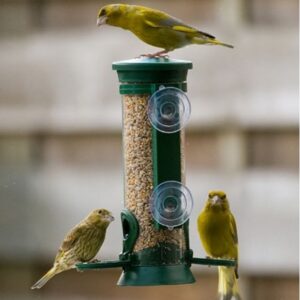 Discovery Plastic Window Seed Feeder