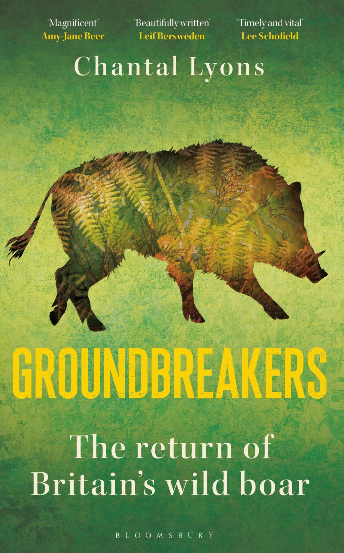 Author Q&A with Chantal Lyons: Groundbreakers