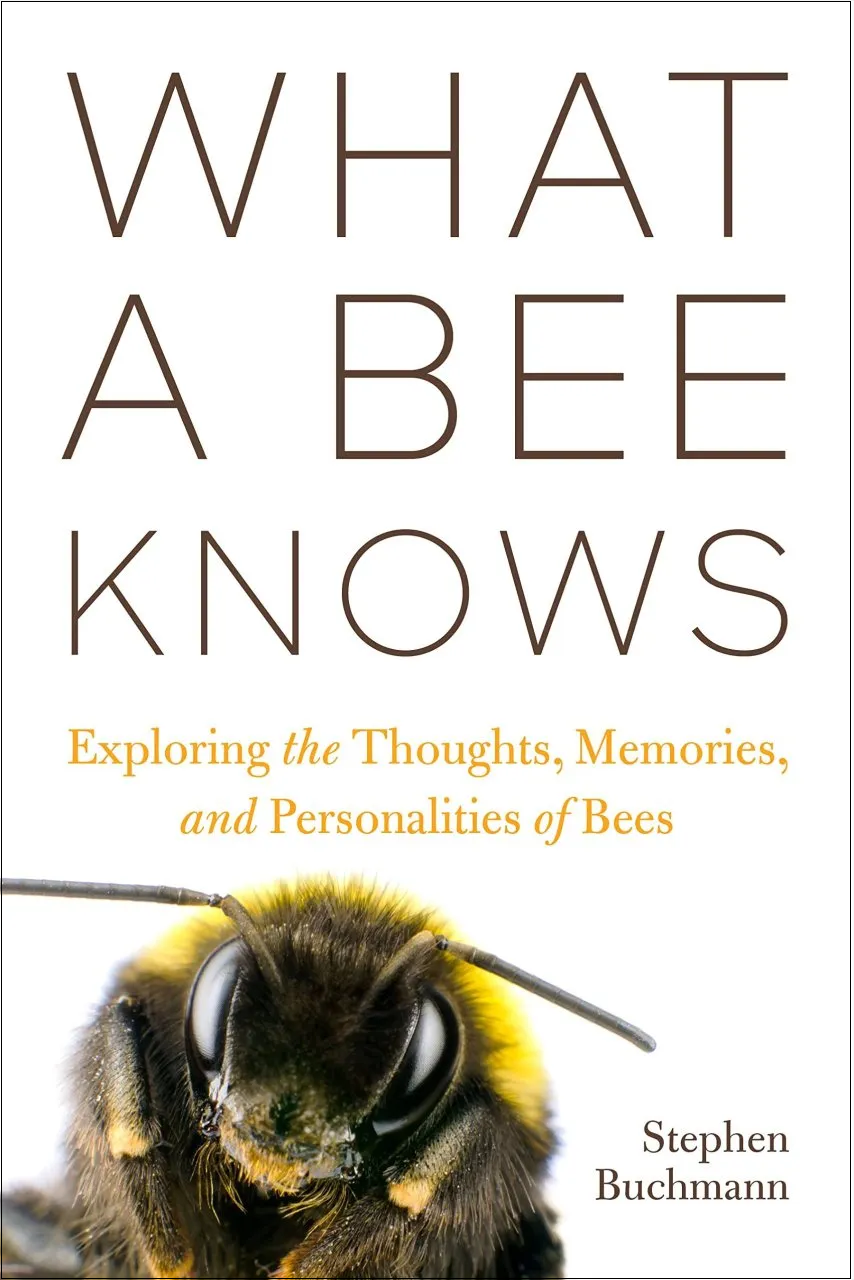 Book Review: What a Bee Knows