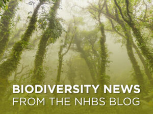 This week in biodiversity news – 19th February 2024