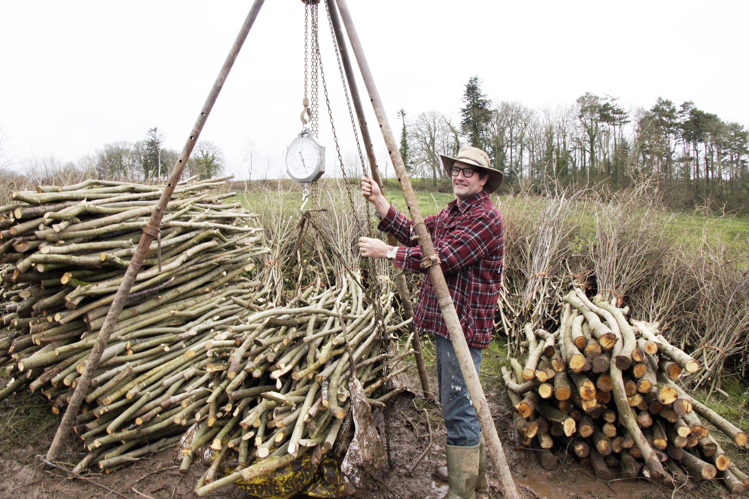 Robert Wolton, author of Hedges, photographed stood by a large pile of thin trees being used to construct a man-made hedge.