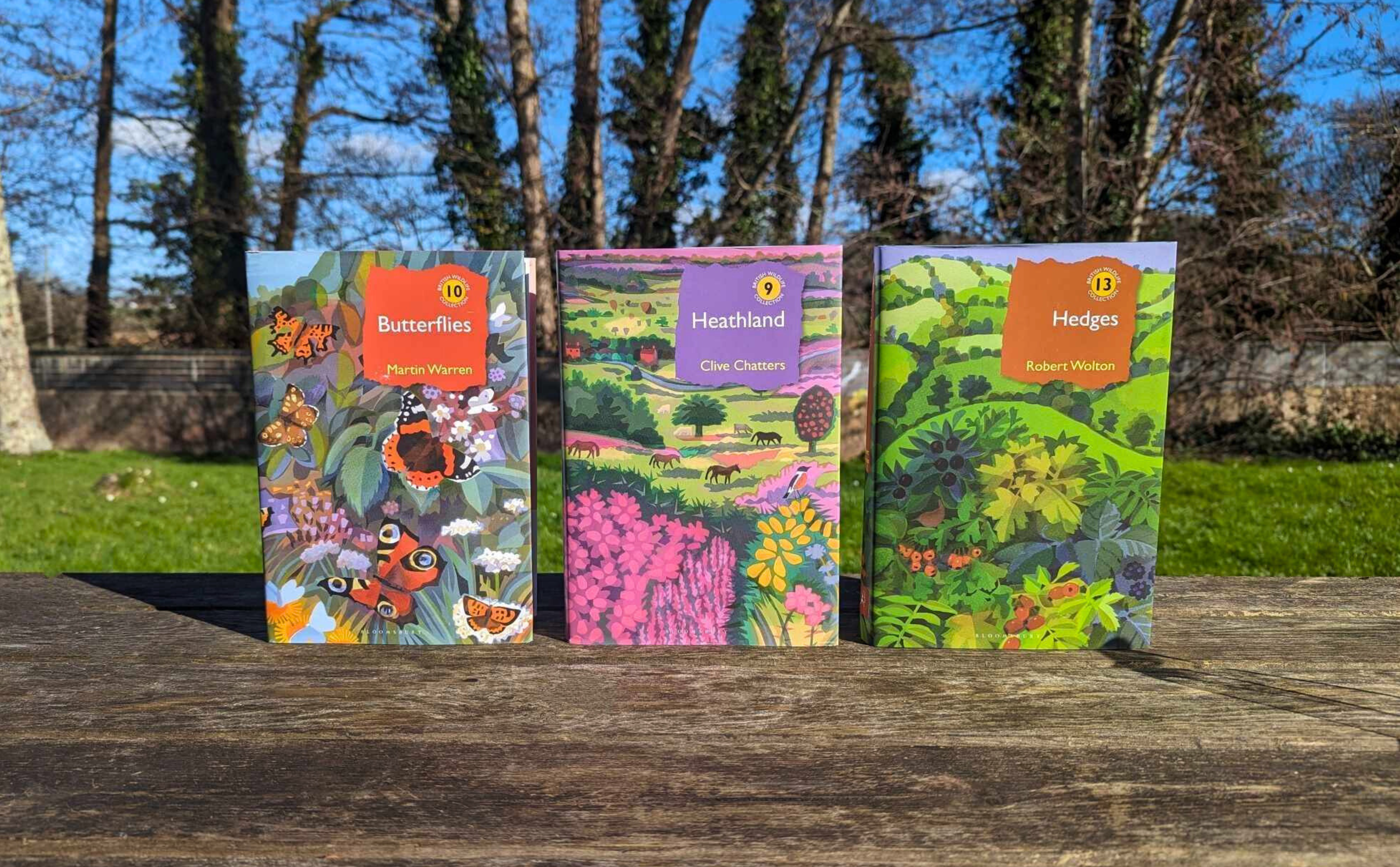 Photograph of three British Wildlife books - Butterflies, Meadows and Hedges, stood in a line on a wooden bench with trees, grass and blue skies behind.