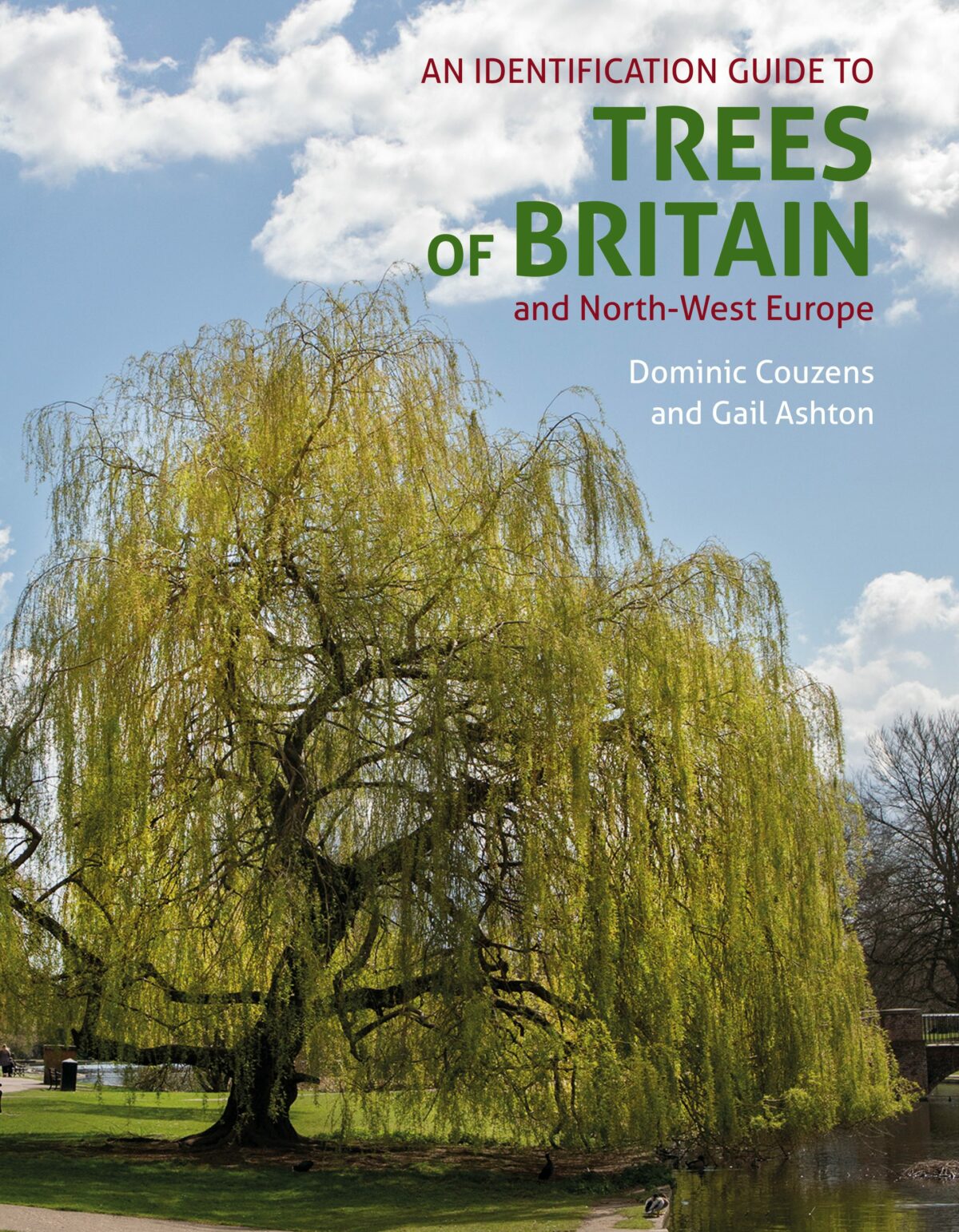 Author Q&A with Dominic Couzens and Gail Ashton: An Identification Guide to Trees of Britain and North-West Europe