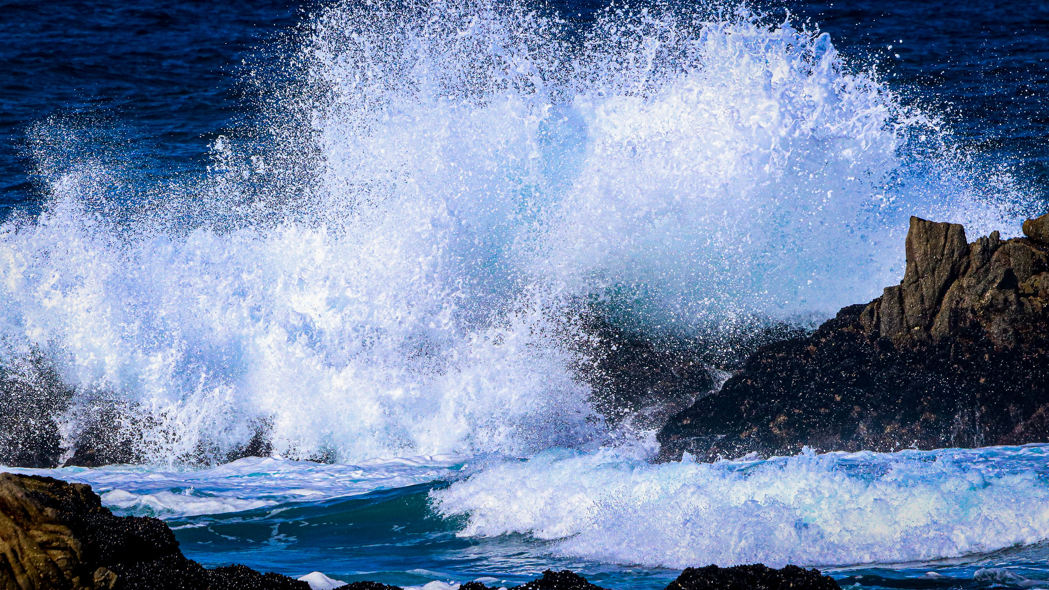 Wave Breaking on rocks at Asilomer State Beach.