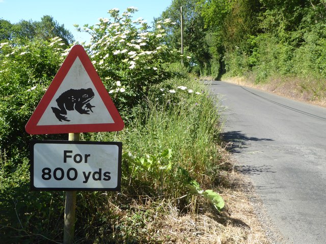 Toads crossing for 800 metres sign on the side of a road with a grassy verge, wildflowers and long grass.