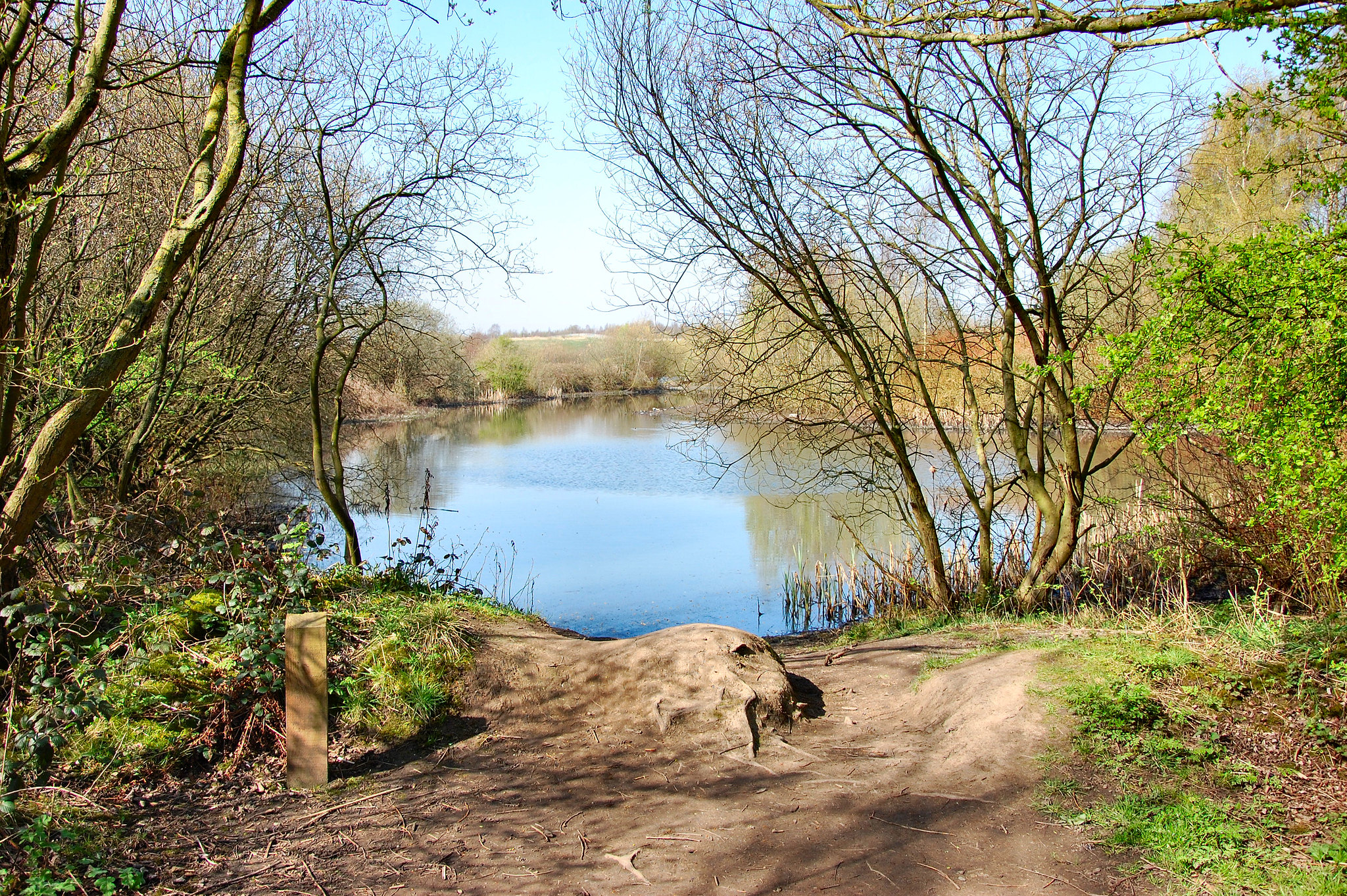 Pennington Flash Pond through the Trees.