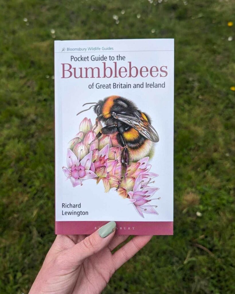 A hand holding a small book with a bumblebee on the front. 