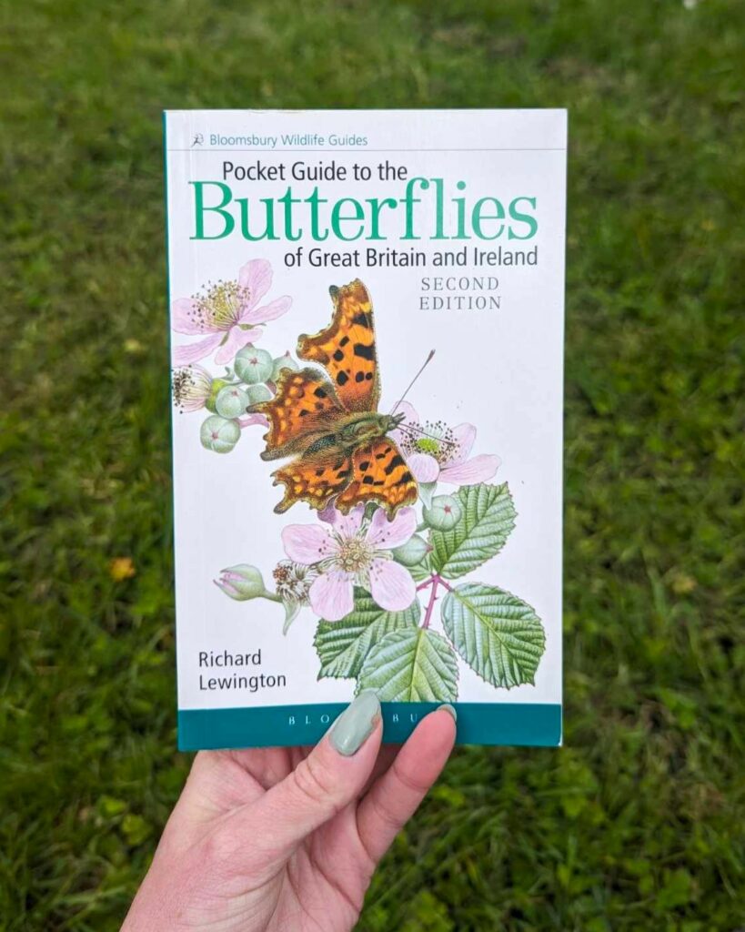 A hand holding a guide to butterflies with a background of grass