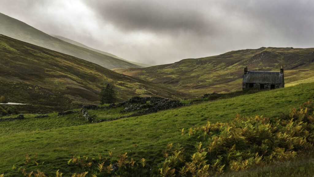 An old bothy on a hill in a grassy field with heather and gorse bushes in the foreground, and sloping hills in the background.