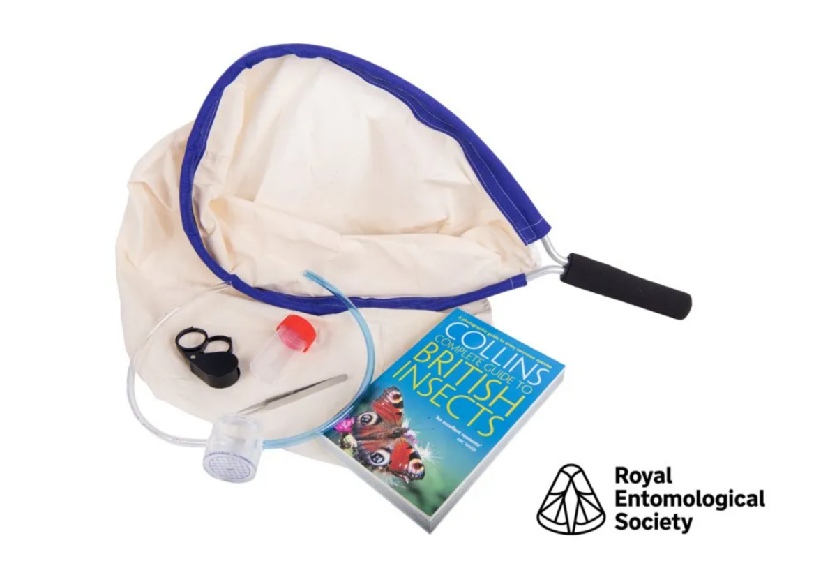 Equipment in Focus: Royal Entomological Society Bug Hunting Kits