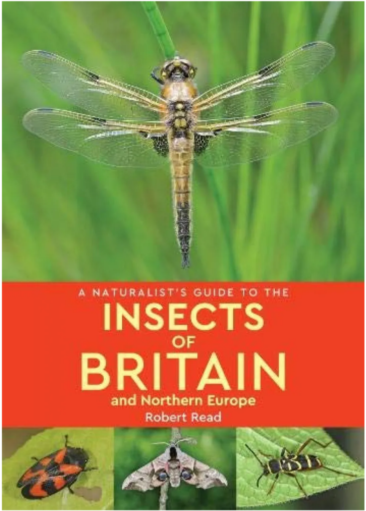 Front cover of a Naturalists guide to the insects of britain and northern europe