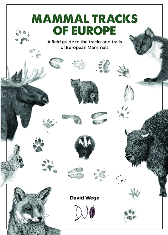 Front cover of Mammal Tracks of Europe. Shows illustrations of a fox, moose, bear and pine marten.