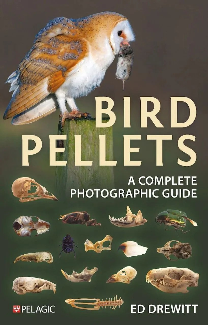 Bird Pellets book cover showing a barn owl stood on a wooden fencepost with a mouse in its mouth, the title Bird Pellets in cream and images of 15 bird pellets below this.