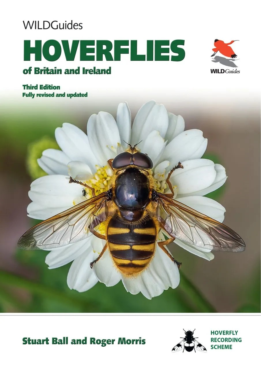 Britain's Hoverflies book cover showing a hoverfly from above perching on a daisy.