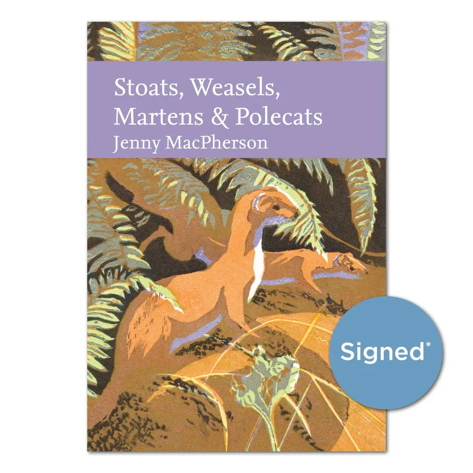 Stoats, Weasels, Martens and Polecats book cover showing an orange, white and purple lino print of a two stoats on a rock within ferns.
