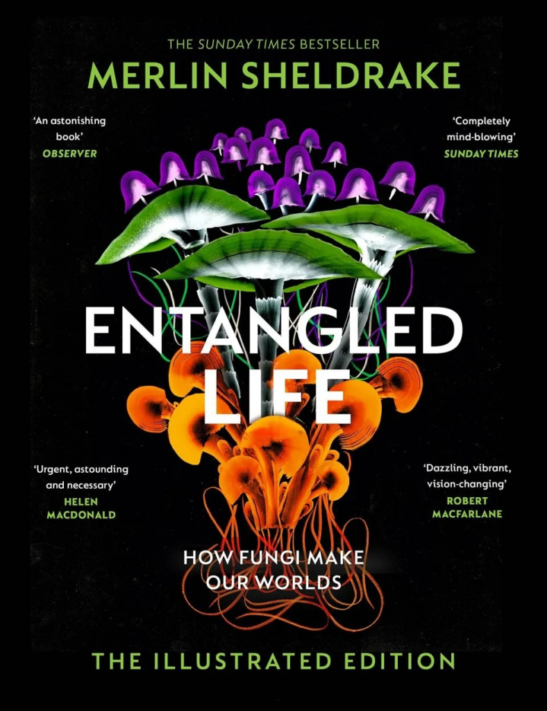 Entangled Life book cover showing an array of different species of mushroom in bright colours on a black background, with reviews of the book surrounding this central image.