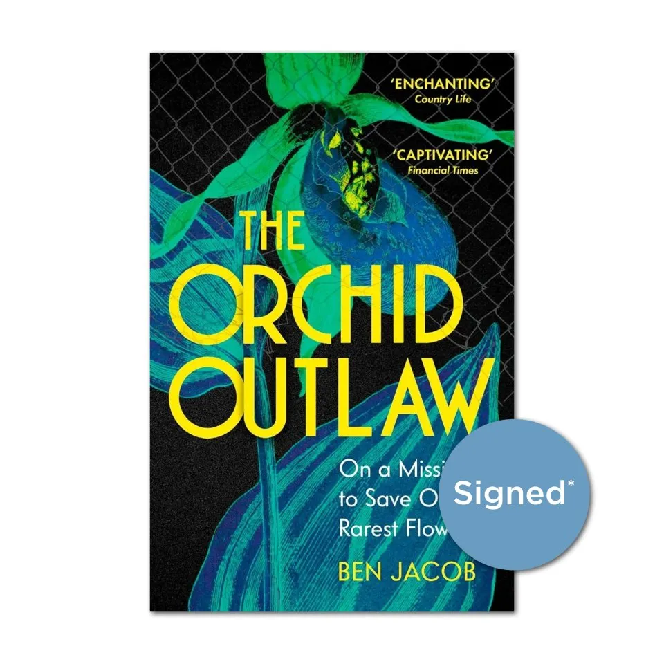 Orchid Outlaw book cover showing the title written in yellow, on top of an image of a blue and green orchid on a black background with heras fencing over the top.