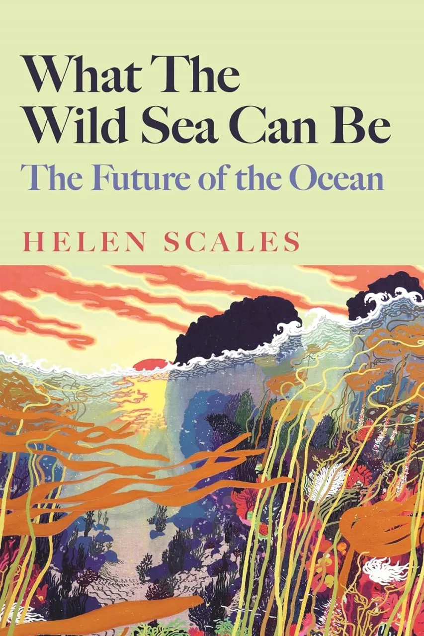 What the Wild Sea Can Be book cover showing an artists drawing of the ocean, sea and rocks.
