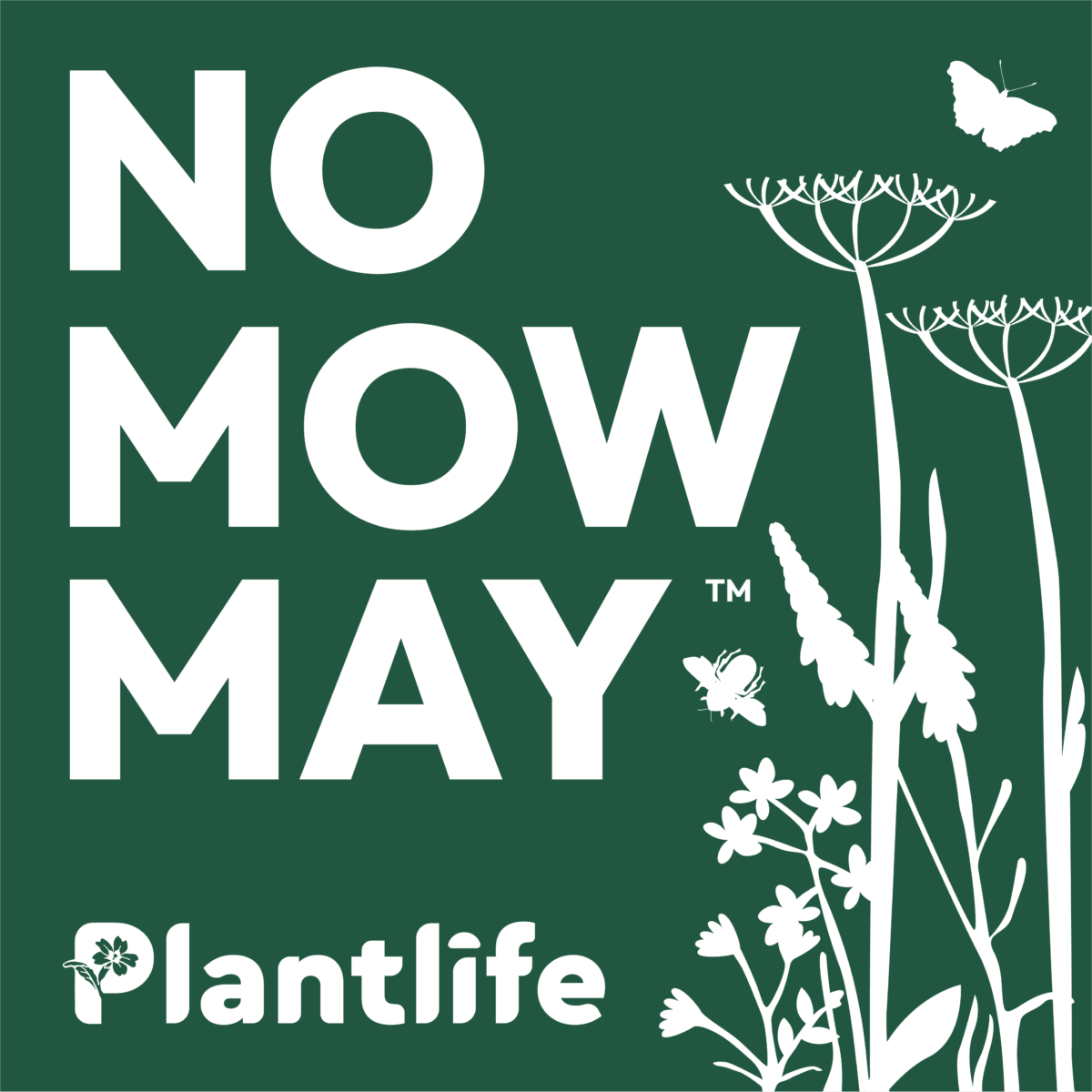 No Mow May 2024: An Update