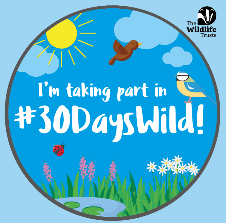 30 Days Wild: NHBS Update