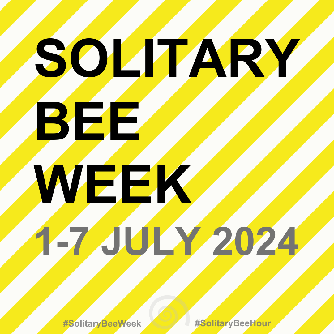 Solitary Bee Week 2024