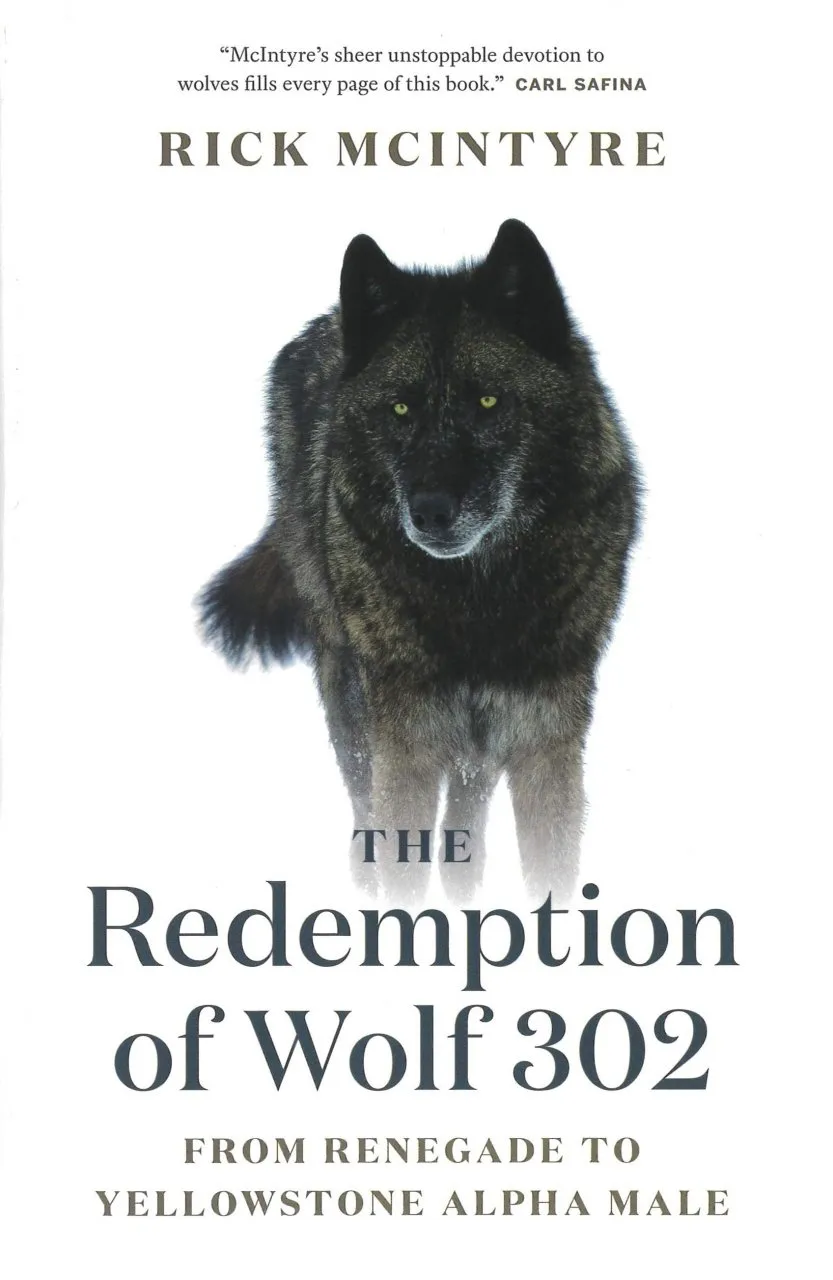 Book Review: The Redemption of Wolf 302